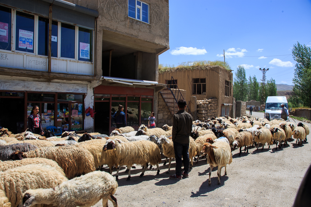 Başkale (Adamakert)